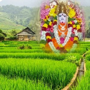 Meet your Posher, Sudha